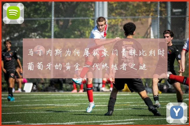 马丁内斯为何屡获豪门青睐比利时葡萄牙的黄金一代终结者之谜