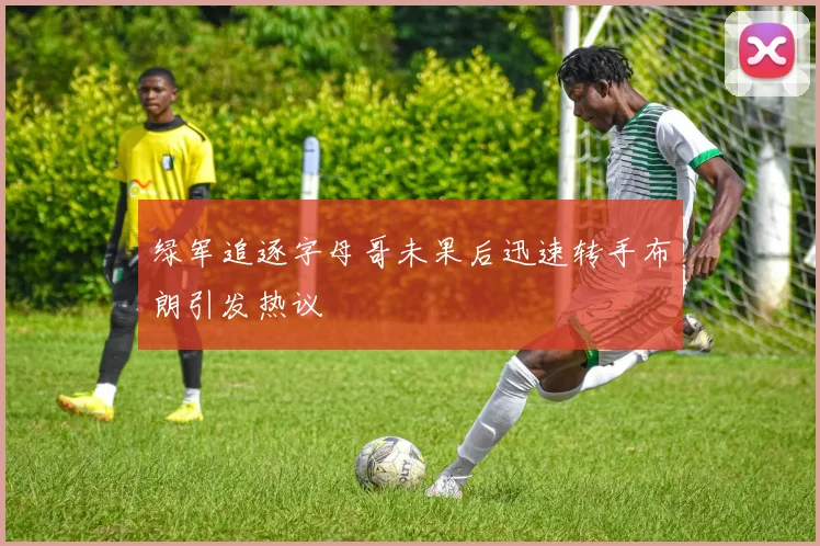 绿军追逐字母哥未果后迅速转手布朗引发热议