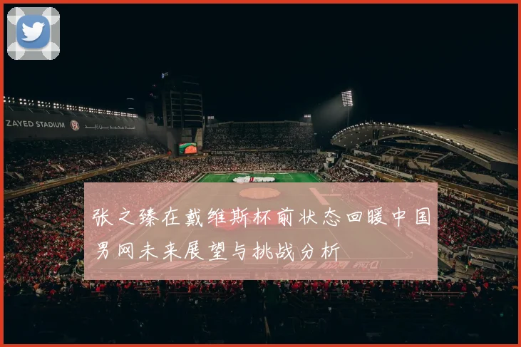 张之臻在戴维斯杯前状态回暖中国男网未来展望与挑战分析